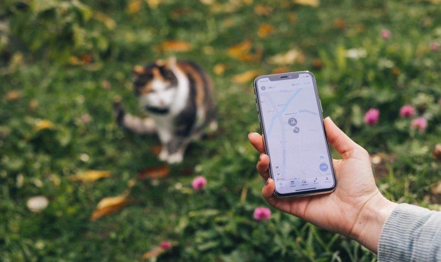 GPS Cat Trackers – Keeping Your Curious Cat Safe Wherever They Go